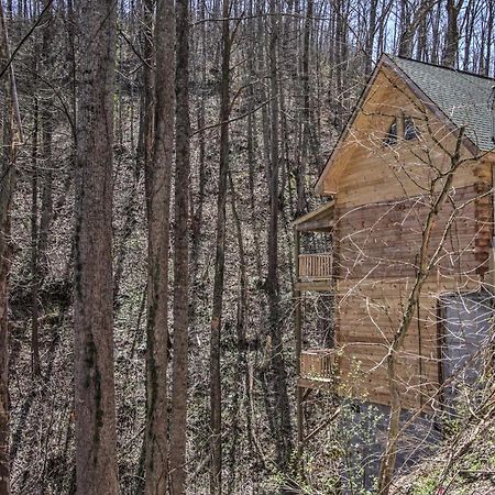 The Phoenix Cabin With Hot Tub In Gatlinburg! Bagian luar foto